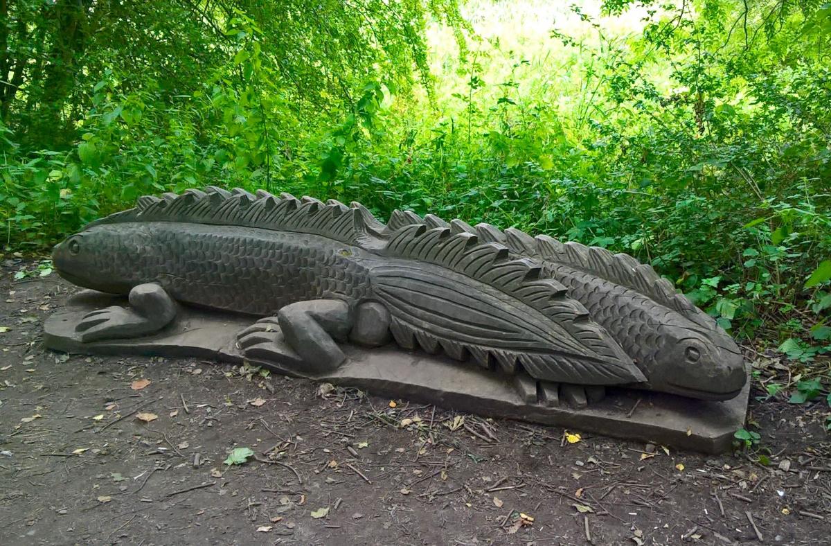 Libby Harding from Leeming was on a sunny afternoon walk in Guisborough Forest when she came across a pair of the biggest newts she had ever seen - part of a trail of giant wooden sculptures in the area.
