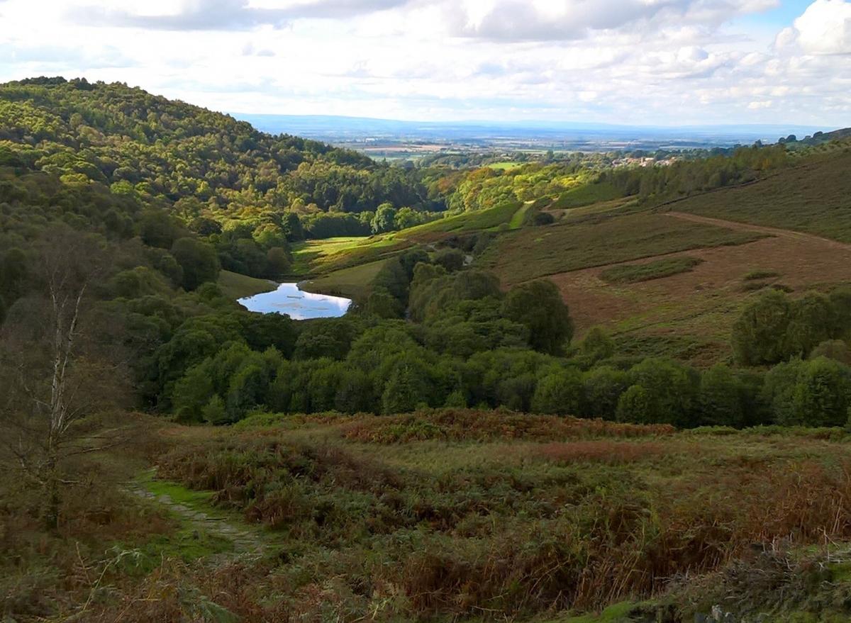 Keen photographer Libby Harding from Leeming, near Bedale, captured this atmospheric image while walking on the North York Moors. It shows Snilesworth Moor on a rare sunny day in late September looking towards Oakdale Reservoir.