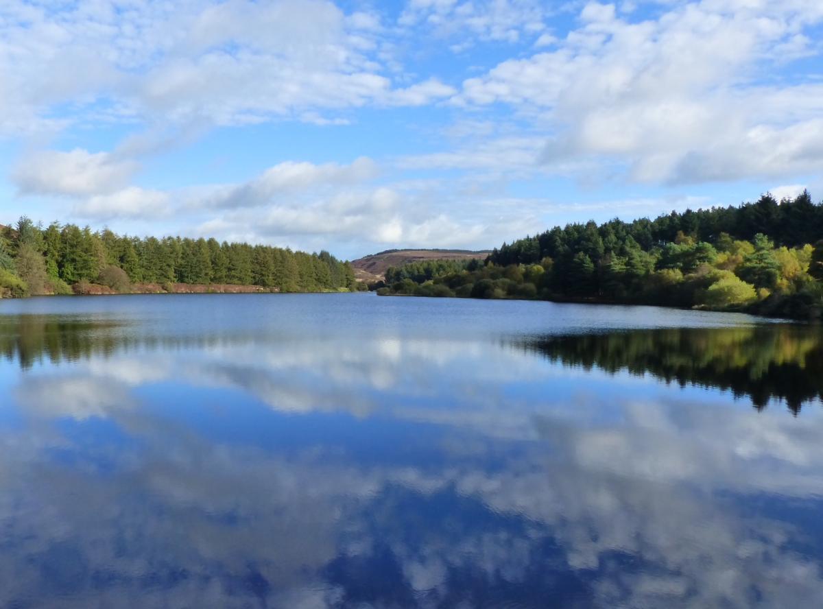 Robert Karlsson of Stokesley was walking by Cod Beck reservoir near Osmotherley on a balmy October day when he was able to capture this stunning image of the tranquil scene. The scudding clouds in the sky above marble the calm waters below with their refl