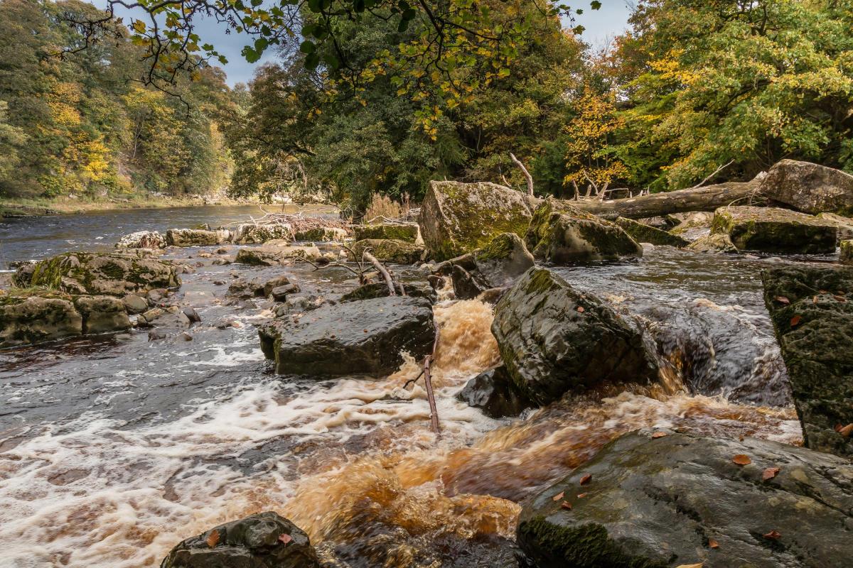 The Meeting of the Waters - the confluence of the Rivers Greta and Tees at Rokeby, near Barnard Castle, as seen by Richard Laidler of Hutton Magna.