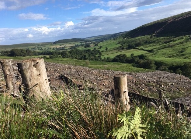 Overlooking Bransdale 