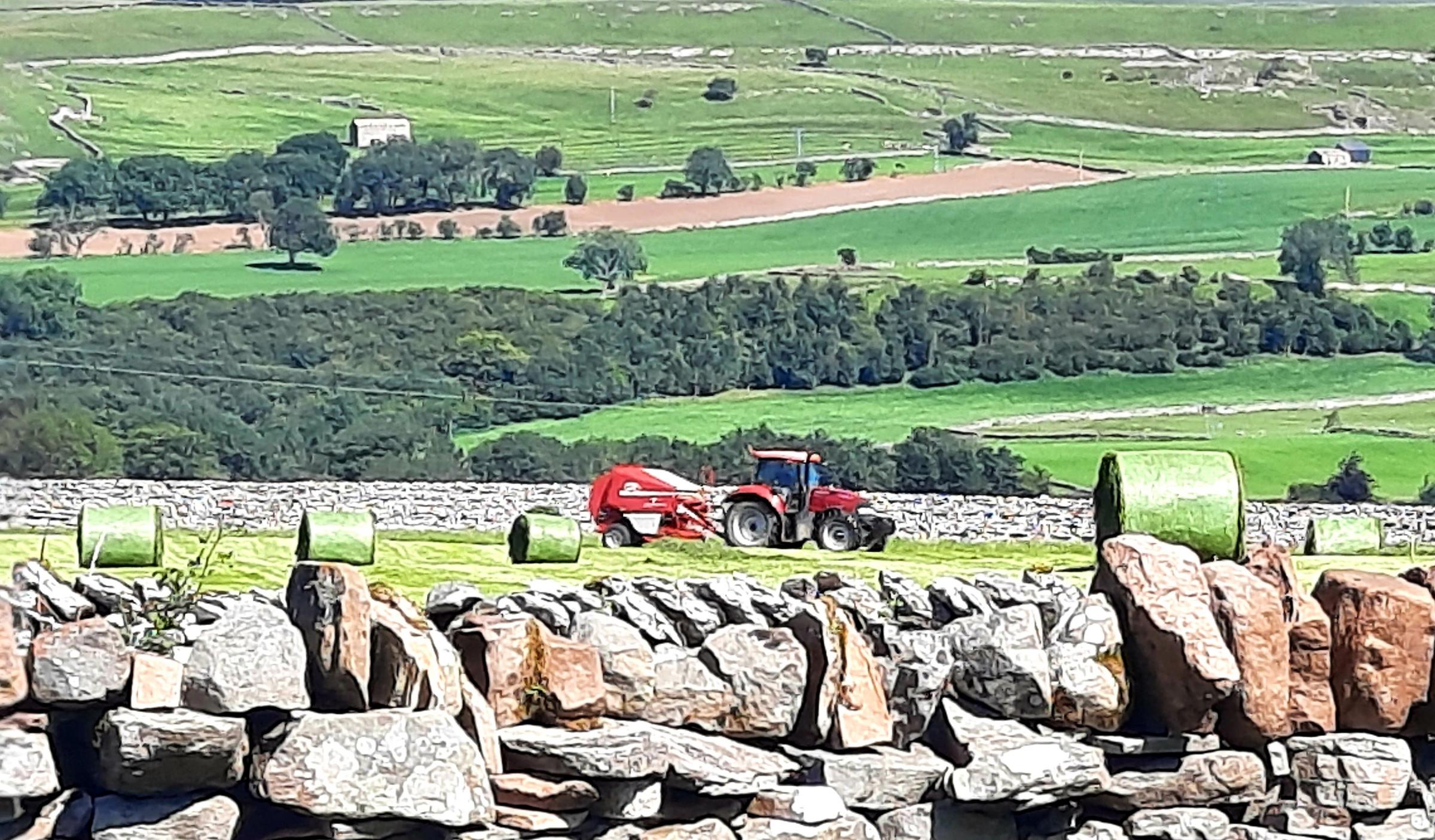 The Peoples Champion, nine-year-old Joseph Booth, was a clear winner with his photograph of a Tractor at Work that also won the Young Peoples section. 