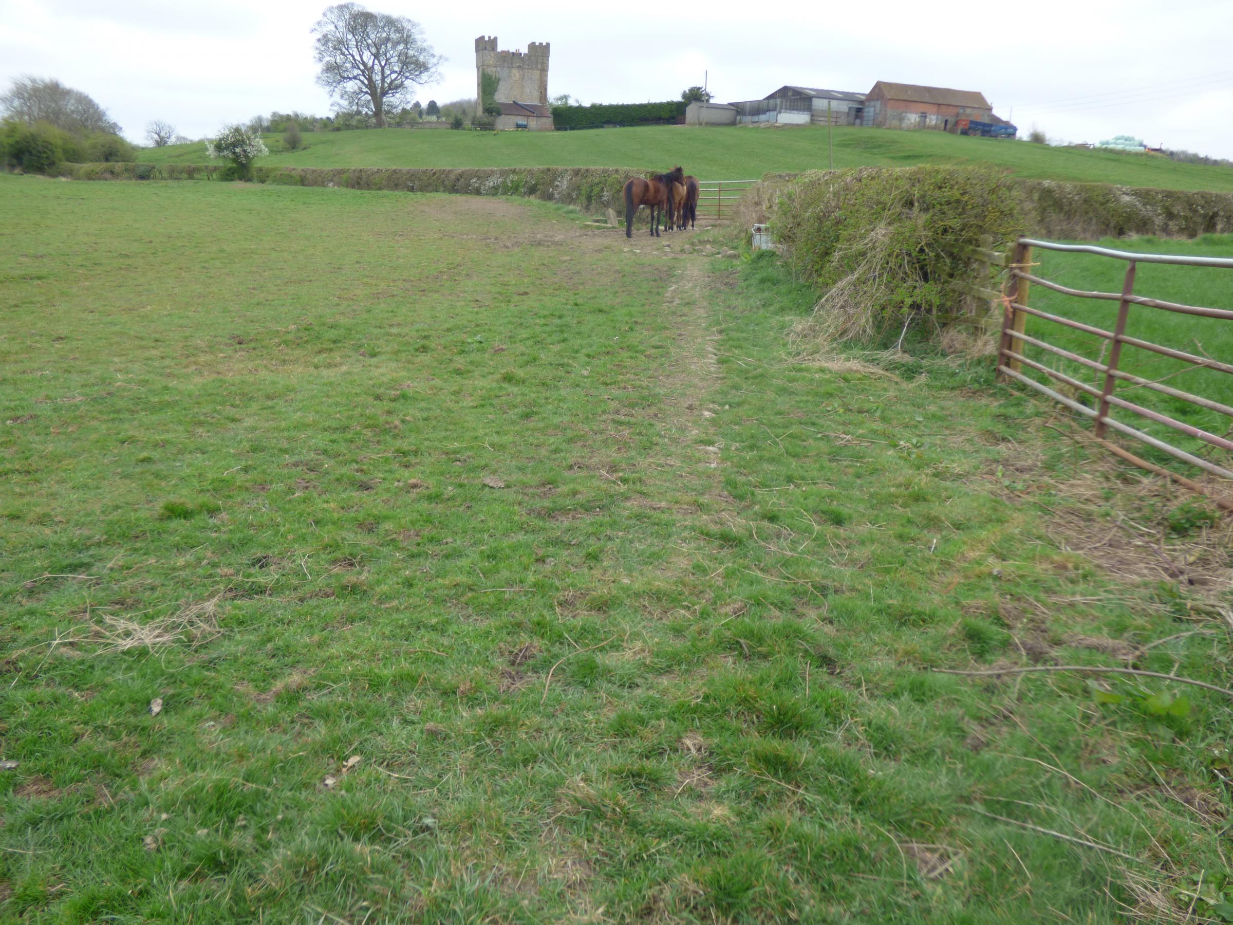 Could the causeway leading towards the castle in the distance still be beneath this field edge? Picture: Chris Johnson