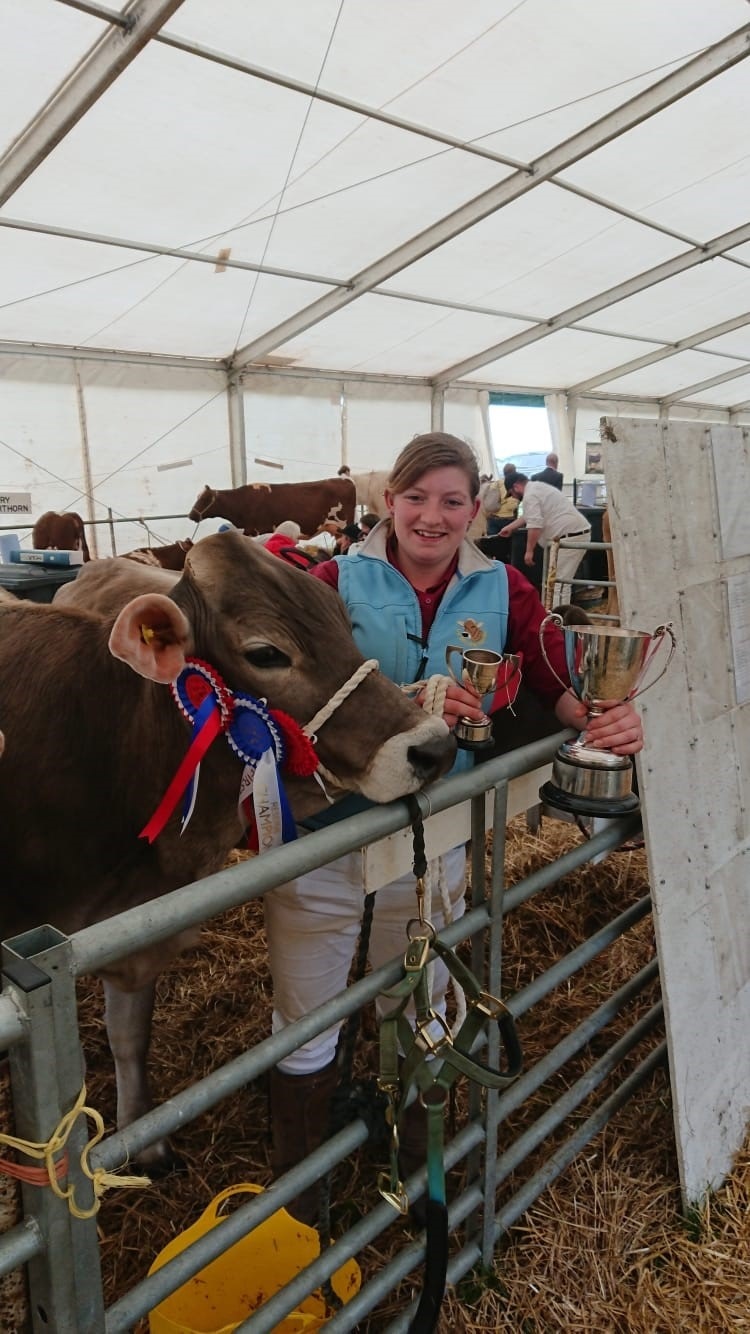 Emily Bradley with prize winning Brown Swiss at Nidderdale show 2019