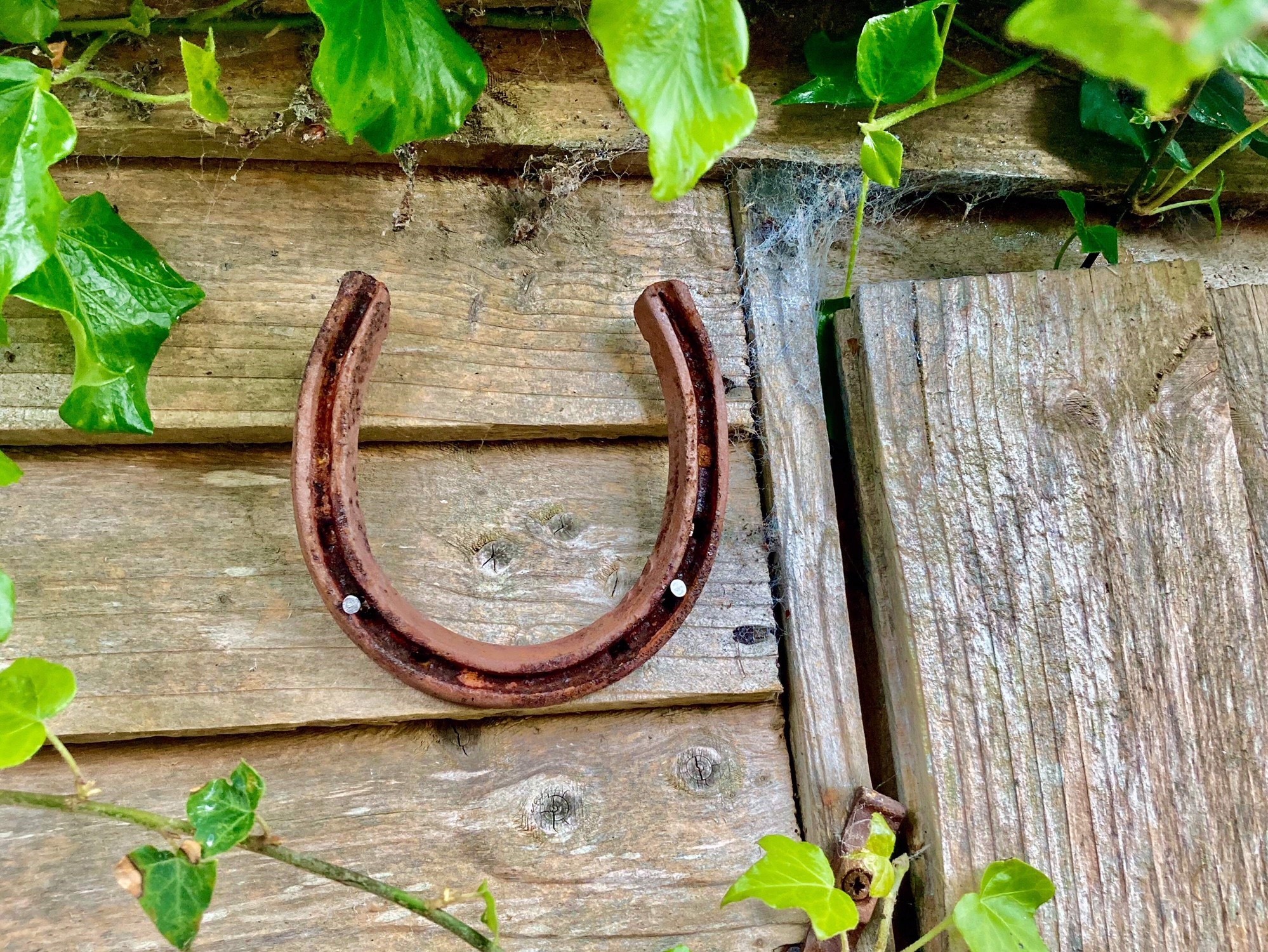 Is it bad luck to paint a horseshoe?