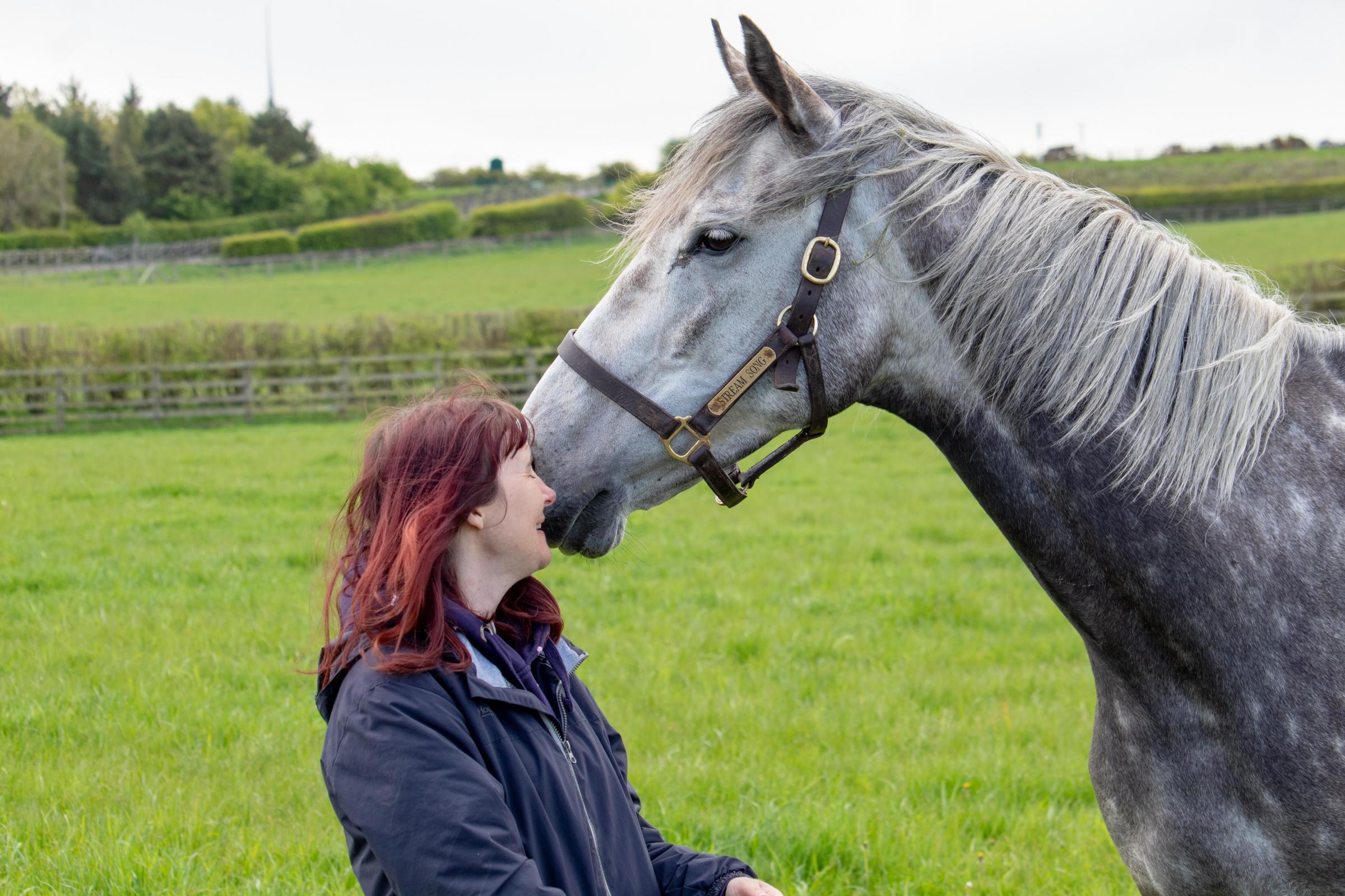 1. Debbie Matthews comes face to face with Stream Song at Elwick Stud, near Hartlepool. Picture: CHRIS BARRON