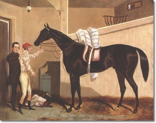 Voltigeur in his box having won the 1850 Derby