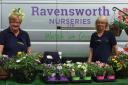 Ravensworth Nurseries at Richmond's Big Plant Sale