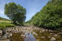 The River Swale above Wain Wath Force, by Jonathan Ryder