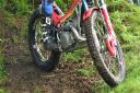 Planning application for trial riding in Dalton Woods (file image)