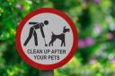 New rules for dog owners in bid to increase safety