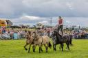 Ben Atkinson from Atkinson Action Horses at Wensleydale Show last month - he will appear at Stokesley on September 23