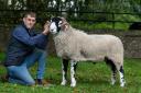 The champion and the record breaking ram from Messrs Richardson, Ghyll House held by Ben Richardson