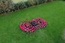 Children from Middleton Tyas school created a giant poppy