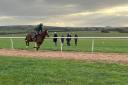Trainers come from as far away as Darlington to use the top of the range facilities at Langton Gallops near Malton