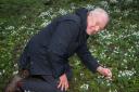 Mike Heagney's Tudor Croft gardens contain 350 varieties of snowdrops