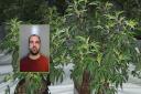 Kleon Zeneli jailed for 14 months for the cultivation of 50 cannabis plants at a rented property in Bowburn, near Durham