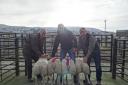 Hawes - champion pen of prime lambs from CT & JE Willoughby, Redmire sold for £140 each to JW Cockett & Son, Butchers, Hawes. From left to right, Colin Willoughby and Thomas Willoughby (vendors) and David Cockett, Hawes Butcher (purchaser)