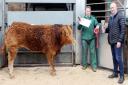 Anthony Kitson (right) with principal auctioneer Giles Drew and the supreme cattle champion at Northallerton mart