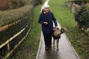 Helen Robson with her dog Dane, who are walking ten miles a day for Lent
