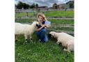 Author Hannah Russell’s new book is based on Valais black nose sheep
