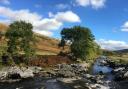 Brian Collins has supplied this view looking down the River Wharfe just about opposite the stone circle from Yockenthwaite