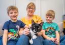 Stowaway cat Flash with his family