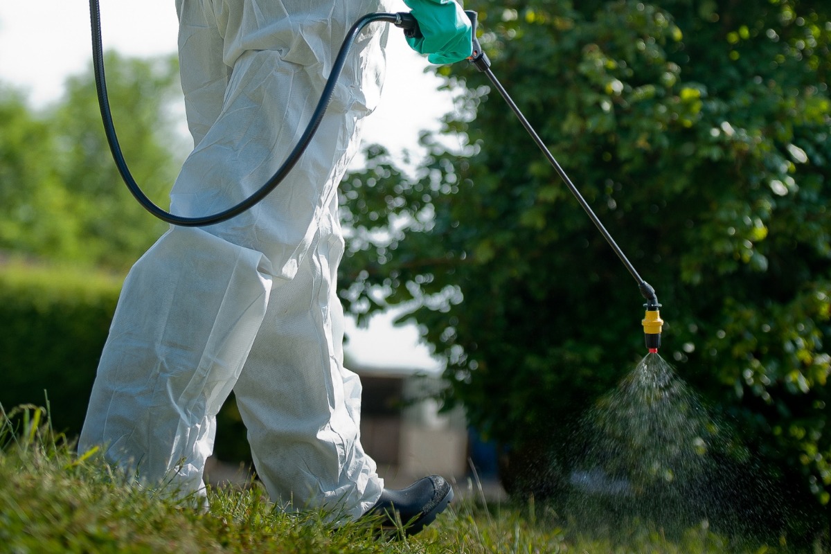 Glyphosate herbicide is ‘absolutely fine’ to use, says environment secretary