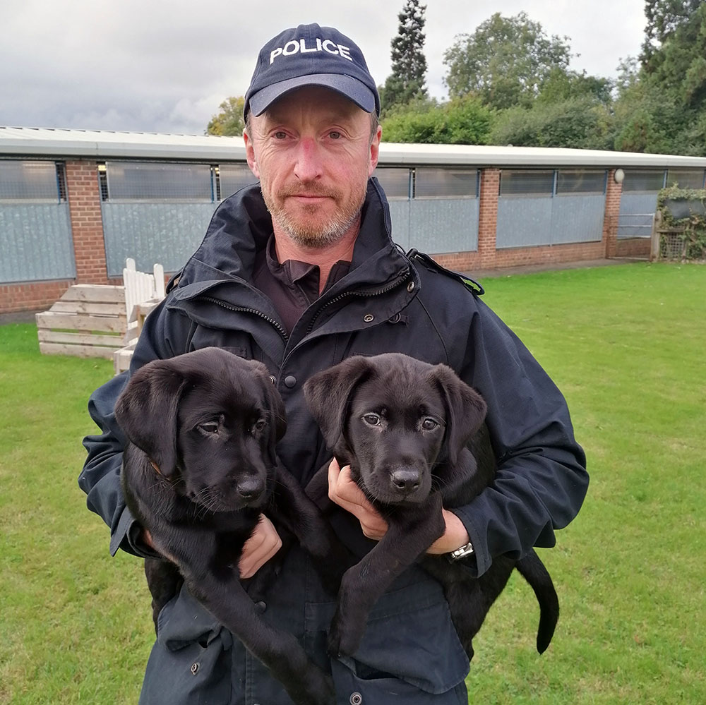 North Yorkshire Police create team to tackle pet theft | Darlington and Stockton Times - Vimarsana News