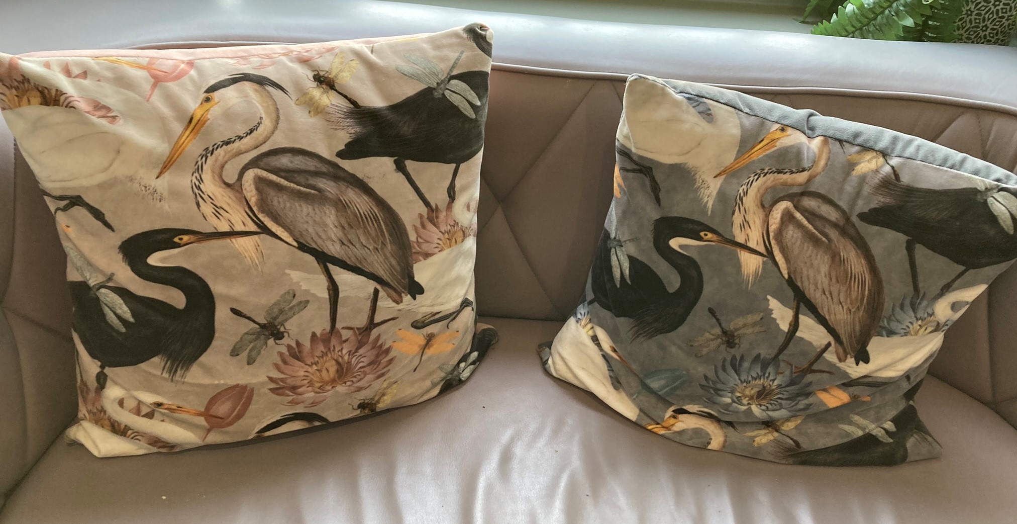 Some very tasteful new cushions at Cafe Bowes