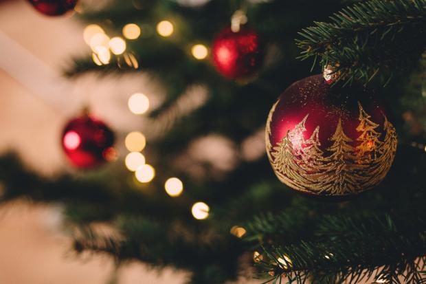 Darlington and Stockton Times: Christmas tree (Canva)