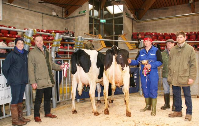 Christmas Craven Dairy Auction: from left, Helen Whittaker, of sponsors NMR, reserve champion Miles Stapleton, Andrew and Richard Walker, who consigned the champion, and judge Kev Midgley, who bought it