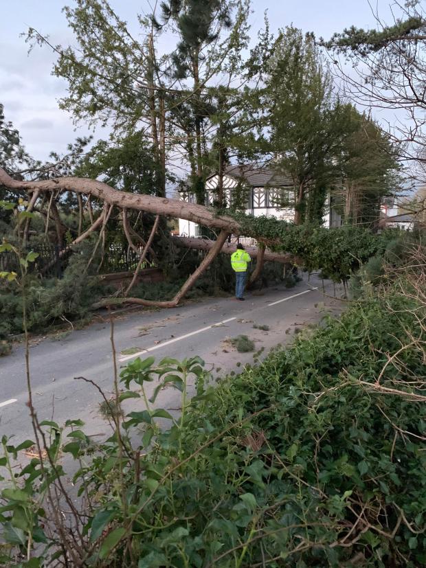 Darlington and Stockton Times: Aftermath of Storm Arwen in Cheshire (PA)