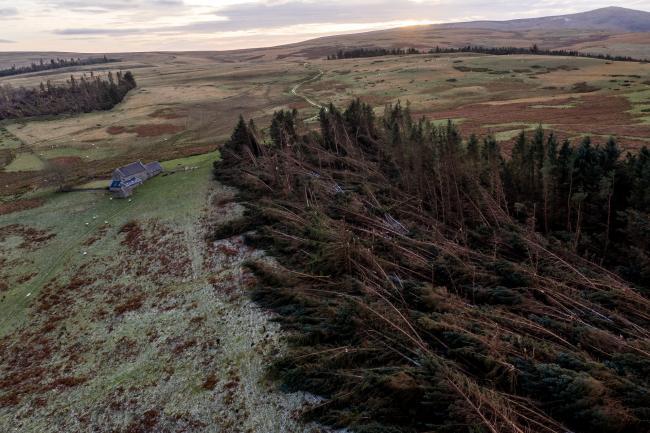 Aerial view of Prendwick Farm in Northumberland after Storm Arwen Picture: NATIONAL FARMERS' UNION