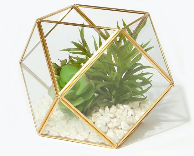 Darlington and Stockton Times: Succulents in Hexagonal Planter is available via Matalan. Picture: Matalan
