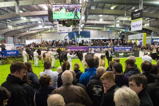 The ring was packed for the overall Holstein champion at a previousAgriscot