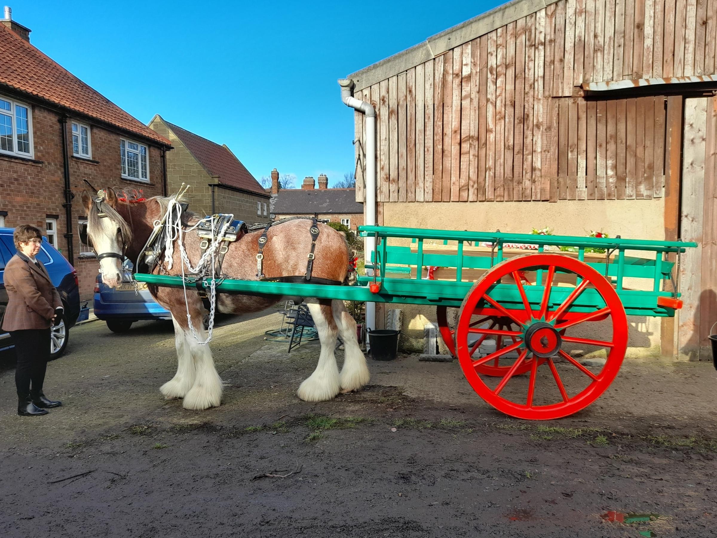 Teddy made his final journey pulled by a Clydesdale 