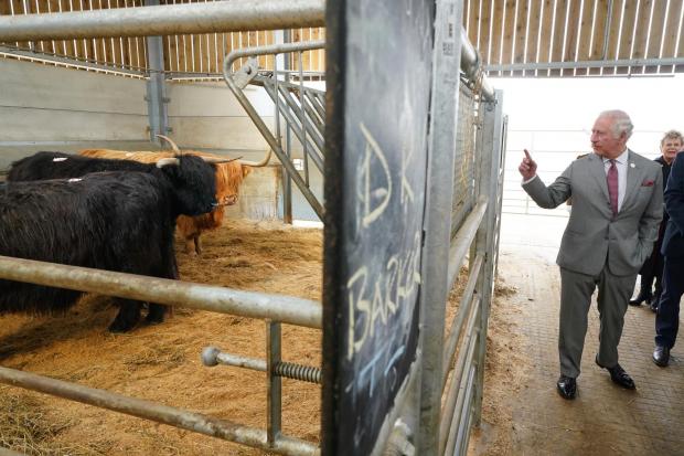 Darlington and Stockton Times: The Prince of Wales views livestock. Picture: PA