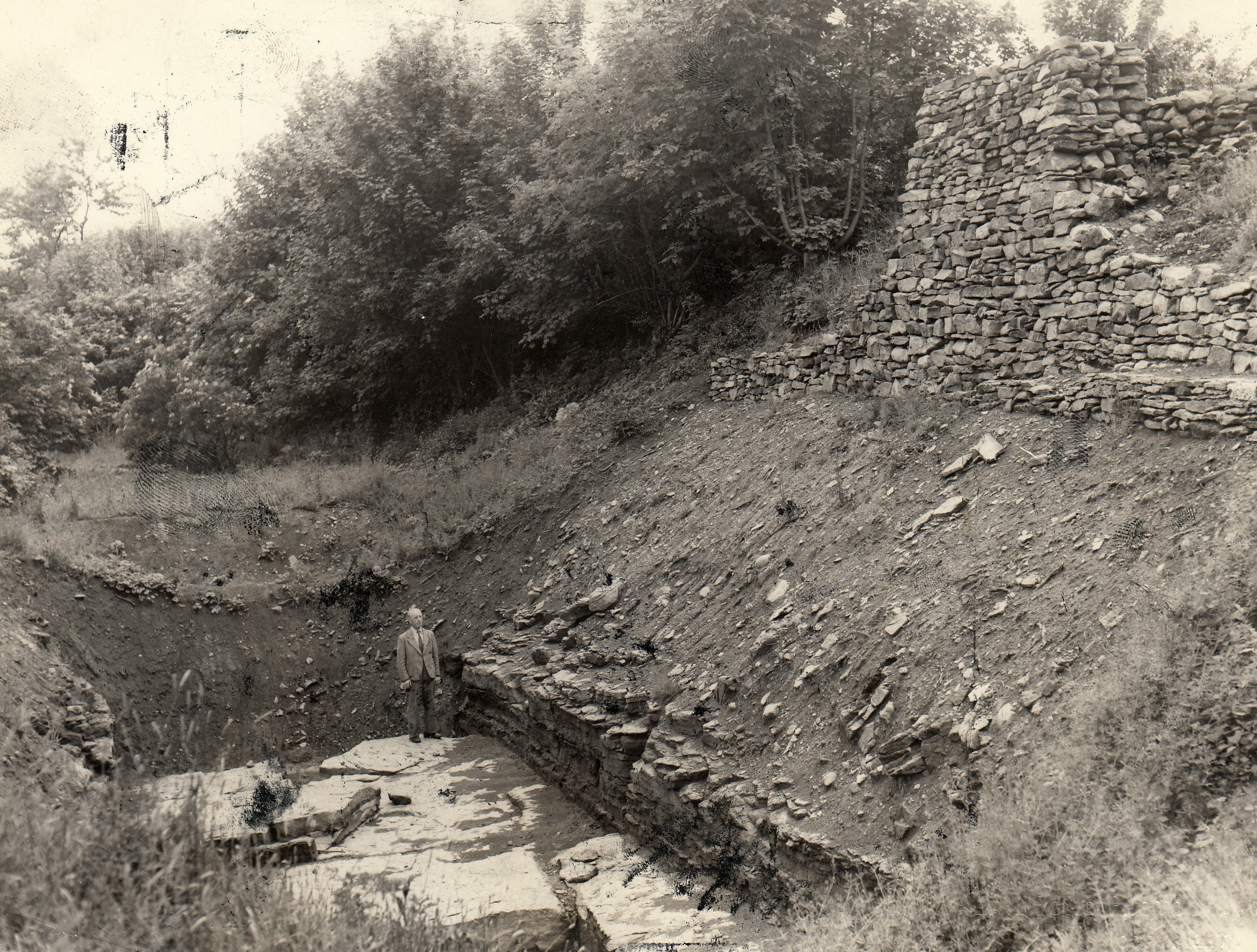 Wheelers Wall, probably with George Burdon standing in it in 1951, which can still be seen at Forcett beside the Stanwick camp