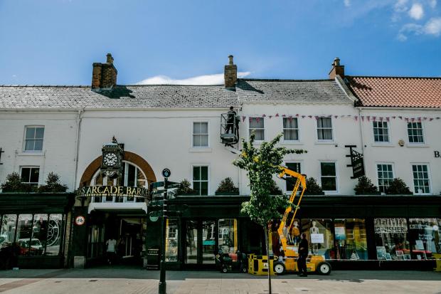 Darlington and Stockton Times: The tree outside Barker's in Northallerton Picture: SARAH CALDECOTT