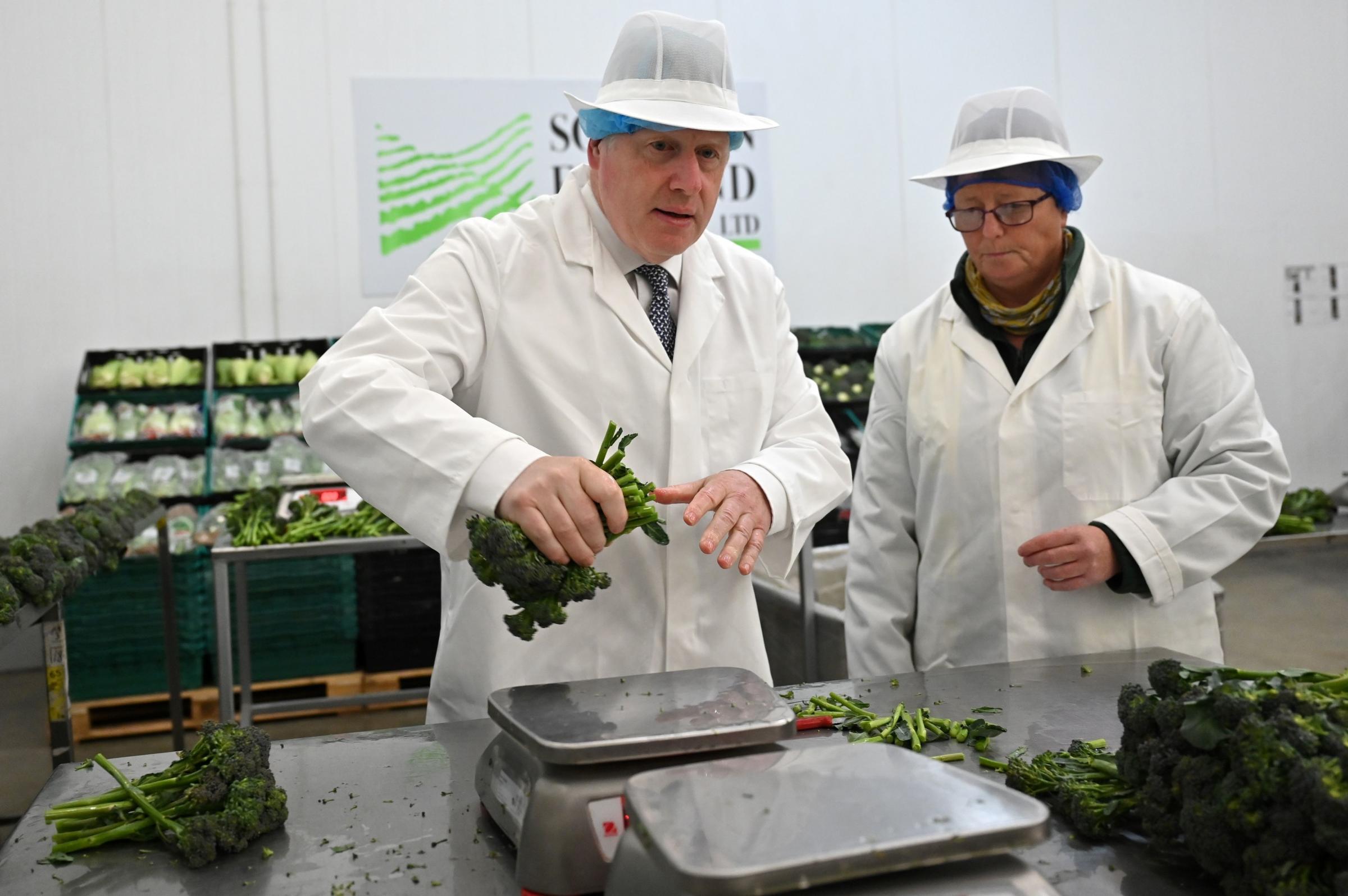 Prime Minister Boris Johnson is shown how to prepare broccoli for packing during a visit to Southern England Farms Ltd in Hayle, Cornwall