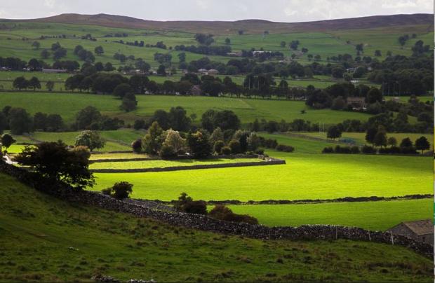 Darlington and Stockton Times: The Yorkshire Dales Picture: Pixabay