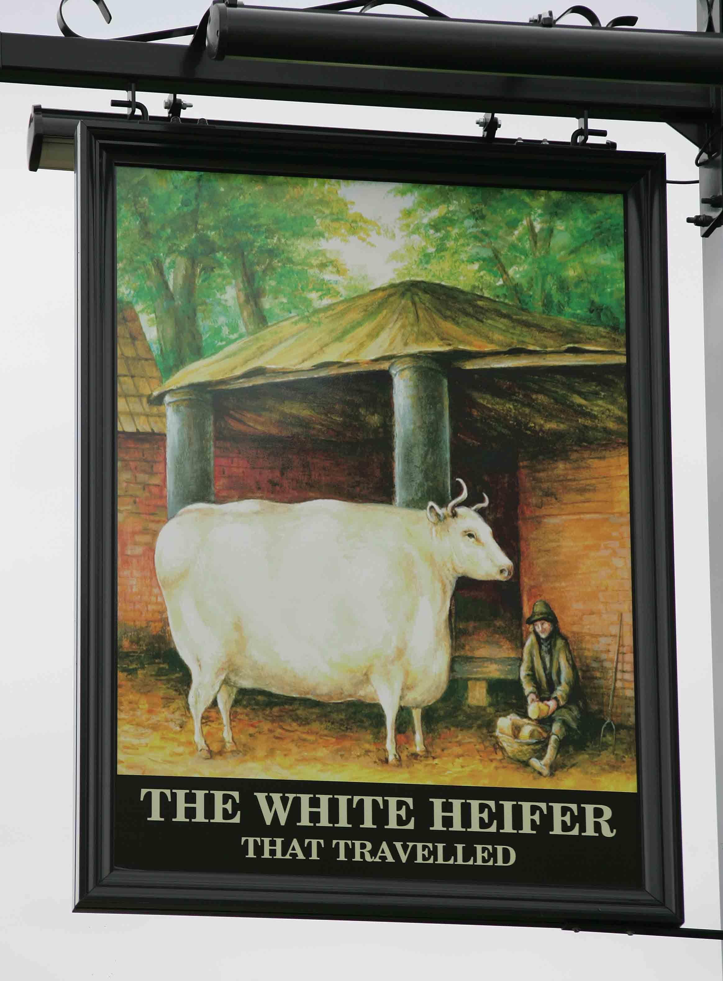 The White Heifer That Travelled on the pub sign in West Park, Darlington. The heifer was big in London in the 1800s and was picturedd with a man feeding it turnips