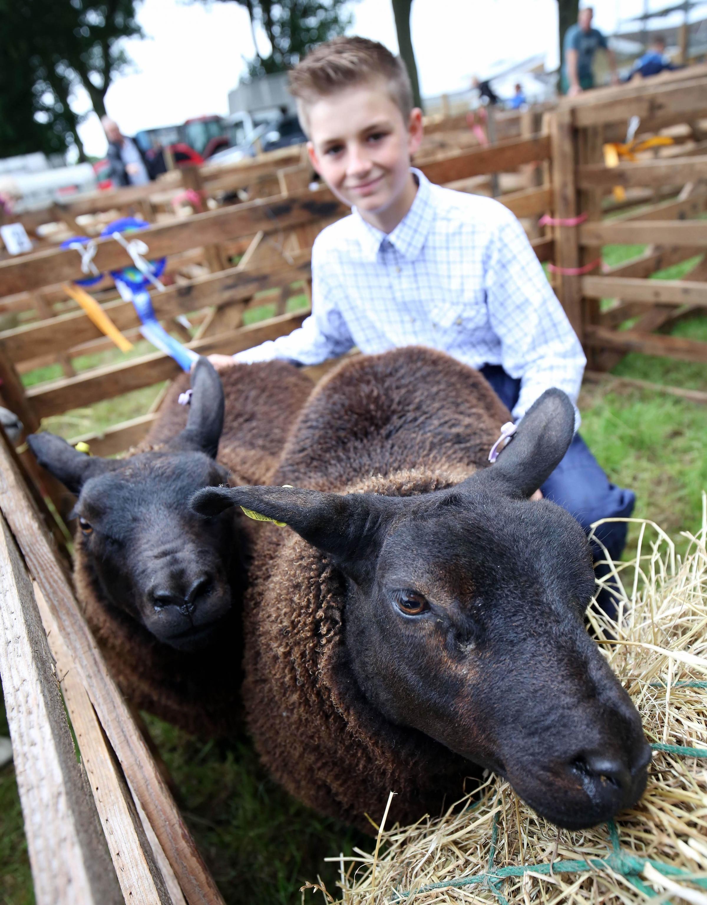 George Holmes, 12, from Middle Stotfold Farm Elwick and his Blue Texel cross Beltex at the 2019 Sedgefield Show Picture: Paul Norris