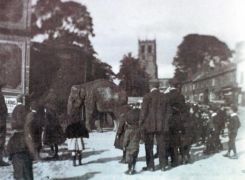The day an elephant fell off Bedale Bridge | Darlington and Stockton Times