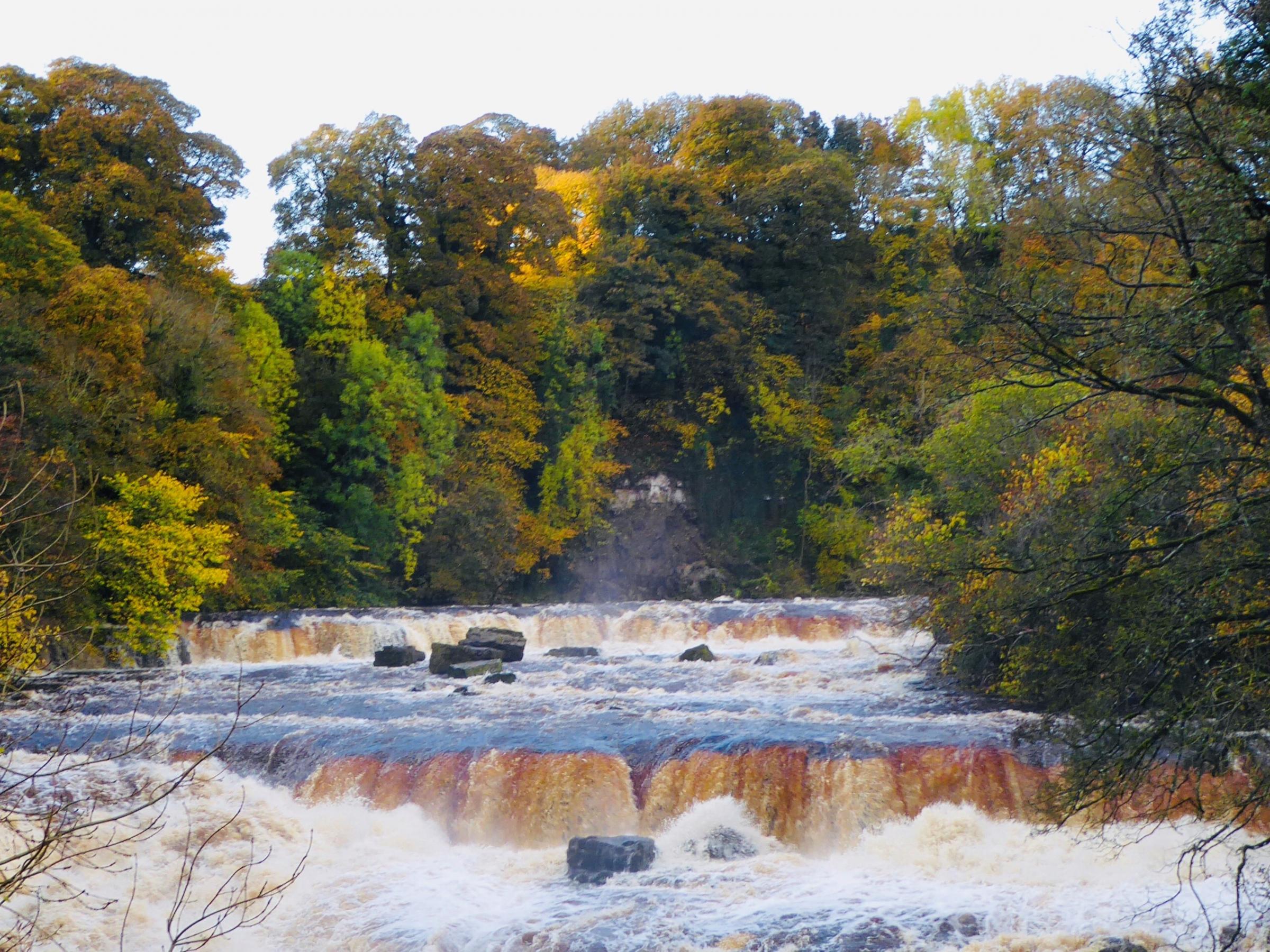 Aysgarth Falls, by Heather Middleton