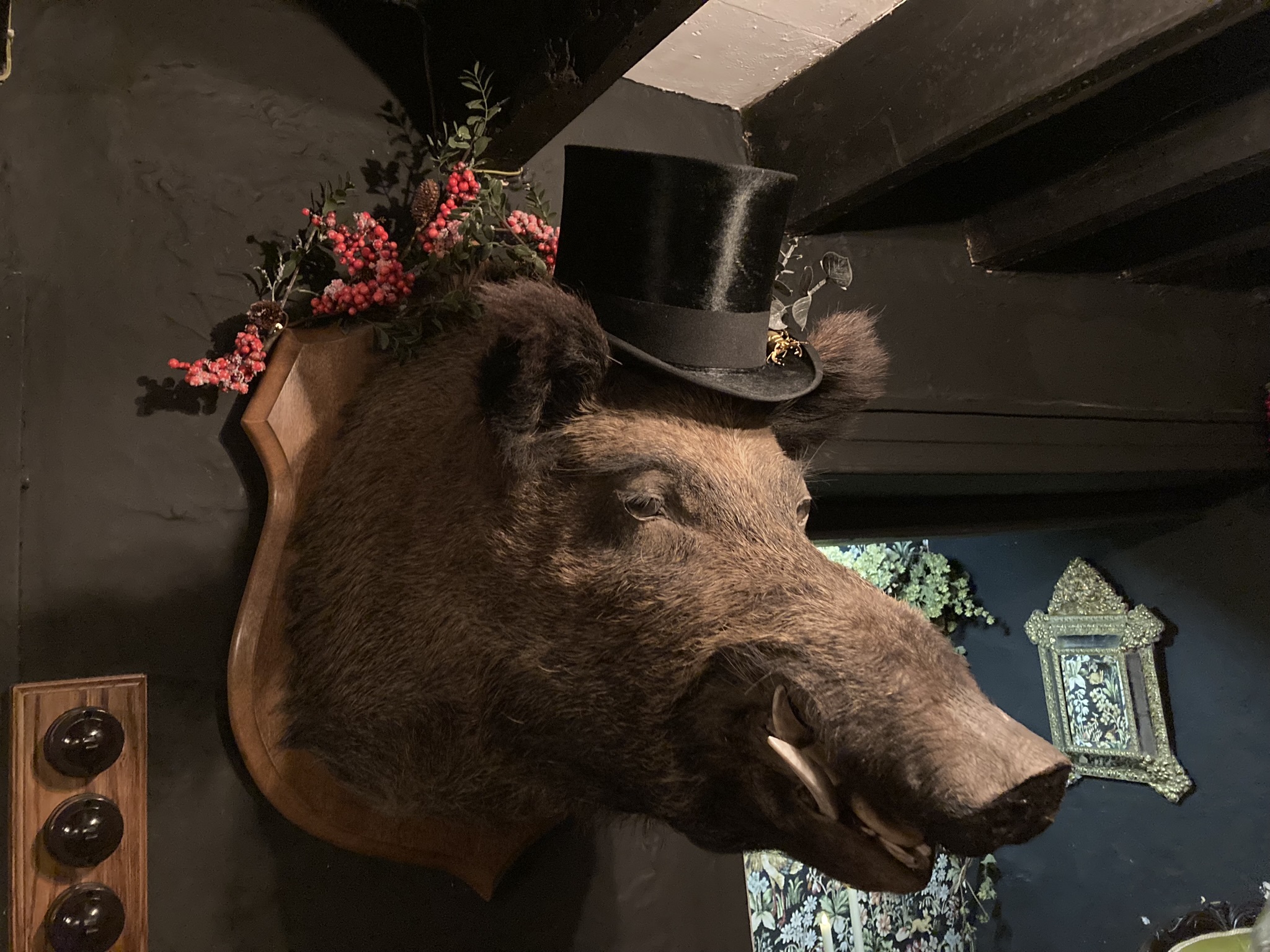 The stuffed boars head in Blagraves
