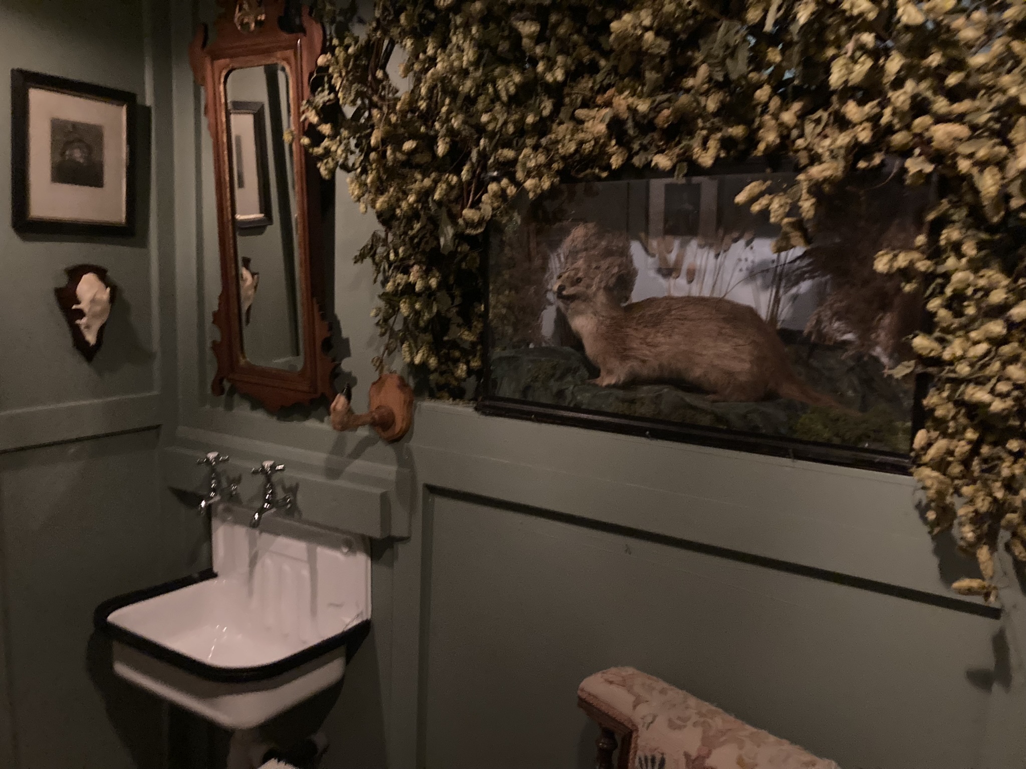 The toilet at Blagraves with a stuffed fox above the nappy changing table, and deer skulls everywhere