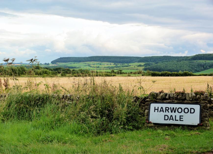 Walk to a tranquil oasis at Harwood Dale in North Yorkshire | Darlington and Stockton Times 