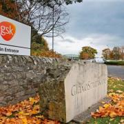 Glaxo hopes to have its Covid-19 vaccine ready by end of year as trials progress